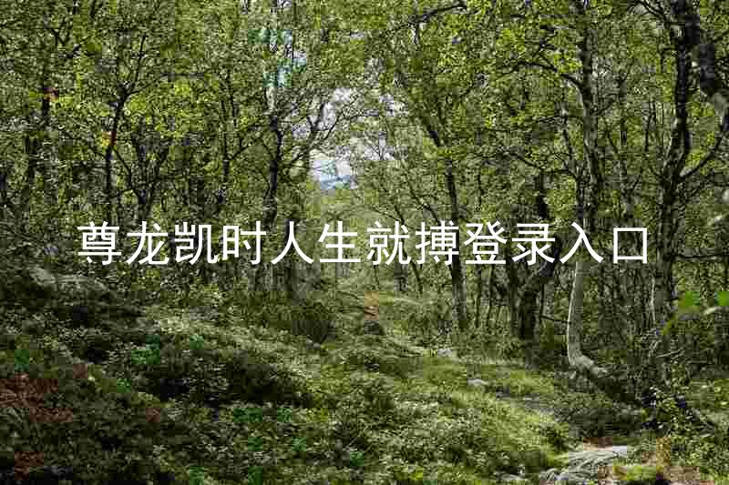 尊龙凯时人生就搏登录入口
