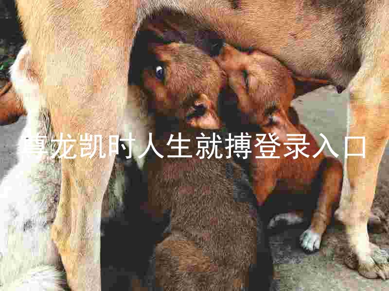 尊龙凯时人生就搏登录入口